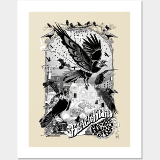 Blackbird 3 Posters and Art